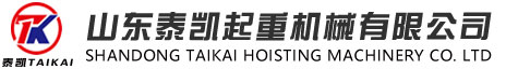 山東泰凱起重機(jī)械有限公司